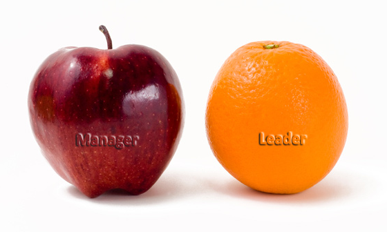 Will You Be A Leader or A Manager?